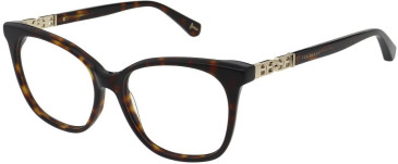 Ted Baker TB9287 glasses in Gloss Classic Tortoise