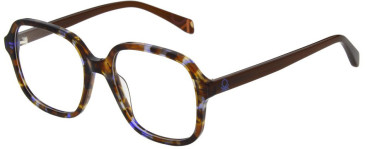 United Colors of Benetton BEO1111 glasses in Gloss Crystal Tortoise