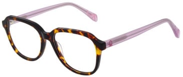 United Colors of Benetton BEO1112 glasses in Gloss Brown Tortoise