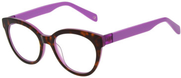 United Colors of Benetton BEO1113 glasses in Havana/Purple