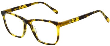 United Colors of Benetton BEO1115 glasses in Amber Tortoise