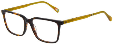 United Colors of Benetton BEO1118 glasses in Gloss Classic Tortoise
