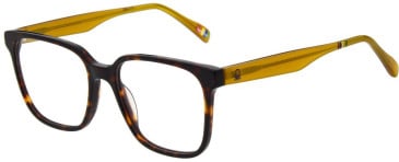 United Colors of Benetton BEO1119 glasses in Gloss Classic Tortoise
