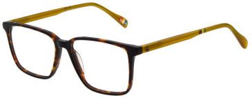 United Colors of Benetton BEO1120 glasses in Gloss Classic Tortoise