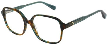 Christian Lacroix CL1151 glasses in Tortoise