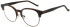 Hackett HEB327 glasses in Brown Horn/Crystal Brown