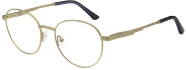 Hackett HEK1321 glasses in Matt Gold