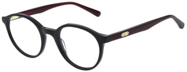 Pepe Jeans PJ3522 glasses in Gloss Solid Black