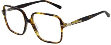 Scotch & Soda SS3027 glasses in Gloss Speckled Tortoise