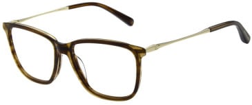 Scotch & Soda SS4027 glasses in Brown/Beige