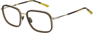 Scotch & Soda SS4029 glasses in Gloss Crystal Brown