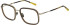 Scotch & Soda SS4029 glasses in Gloss Crystal Brown