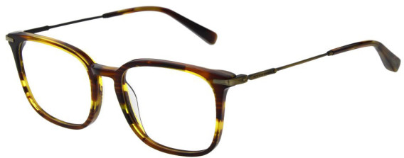 Scotch & Soda SS4030 glasses in Gloss Brown Horn