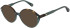 Christian Lacroix CL1146 sunglasses in Tortoise