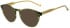 Hackett HEB303 sunglasses in Gloss Green Horn
