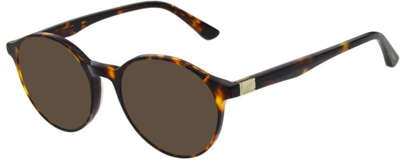 Pepe Jeans PJ3516 sunglasses in Gloss Tortoise