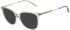 Ted Baker TB9258 sunglasses in Crystal Grey