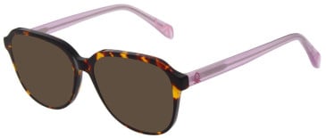 United Colors of Benetton BEO1112 sunglasses in Gloss Brown Tortoise