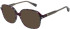 Christian Lacroix CL1151 sunglasses in Grey Tortoise