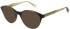 Christian Lacroix CL1153 sunglasses in Tortoise