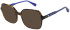 Christian Lacroix CL1155 sunglasses in Blue Tortoise