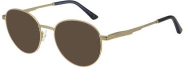 Hackett HEK1321 sunglasses in Matt Gold