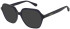Sandro SD2046 sunglasses in Navy Crystal