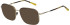Scotch & Soda SS4029 sunglasses in Gloss Crystal Brown