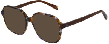United Colors of Benetton BEO1111 sunglasses in Gloss Crystal Tortoise