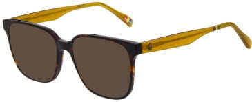 United Colors of Benetton BEO1119 sunglasses in Gloss Classic Tortoise