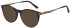Hackett HEK1319 sunglasses in Tortoise
