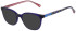 Joules JO3077 sunglasses in Milky Navy