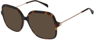 Maje MJ1050 sunglasses in Tortoise