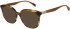 Maje MJ1051 sunglasses in Brown Stripe