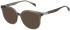 Maje MJ1051 sunglasses in Crystal Brown Grey