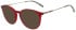 Pepe Jeans PJ3520 sunglasses in Gloss Crystal Red