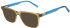 Pepe Jeans PJ3533 sunglasses in Gloss Crystal Brown