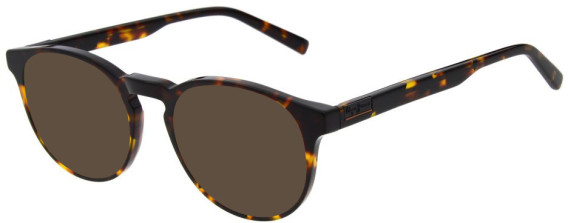 Pepe Jeans PJ3534 sunglasses in Gloss Tortoise