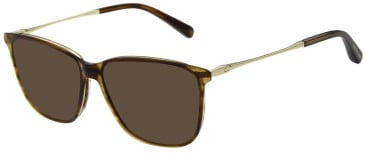 Scotch & Soda SS4027 sunglasses in Brown/Beige