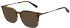 Scotch & Soda SS4030 sunglasses in Gloss Brown Horn