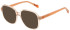 United Colors of Benetton BEO1111 sunglasses in Gloss Crystal Peach