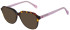 United Colors of Benetton BEO1112 sunglasses in Gloss Brown Tortoise