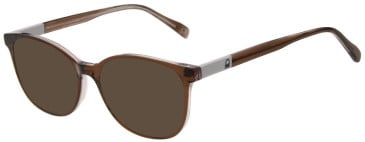 United Colors of Benetton BEO1116 sunglasses in Crystal Dark Brown
