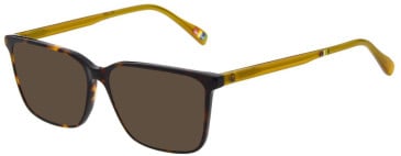 United Colors of Benetton BEO1118 sunglasses in Gloss Classic Tortoise