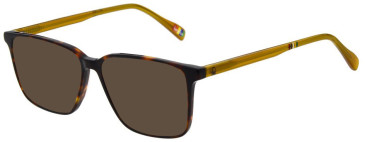 United Colors of Benetton BEO1120 sunglasses in Gloss Classic Tortoise