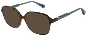 Christian Lacroix CL1151 sunglasses in Tortoise