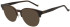Hackett HEB327 sunglasses in Brown Horn/Crystal Brown