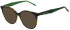 Scotch & Soda SS3031 sunglasses in Gloss Green