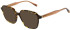 Scotch & Soda SS3034 sunglasses in Amber Tortoise