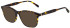 Scotch & Soda SS4028 sunglasses in Gloss Tortoise Horn